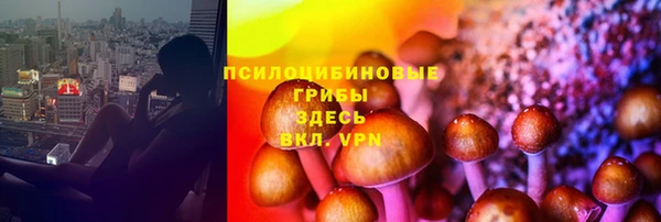 дживик Алексеевка