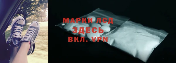 хмурый Абаза