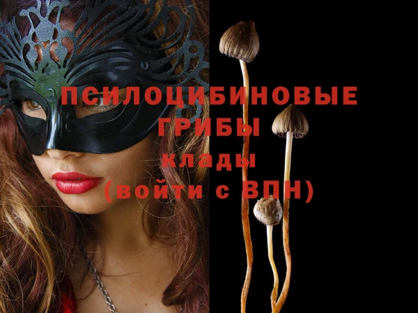 каннабис Алзамай