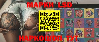 индика Брянск