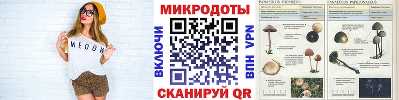 МЕГА зеркало  Балашиха  Галлюциногенные грибы Cubensis  где продают наркотики 